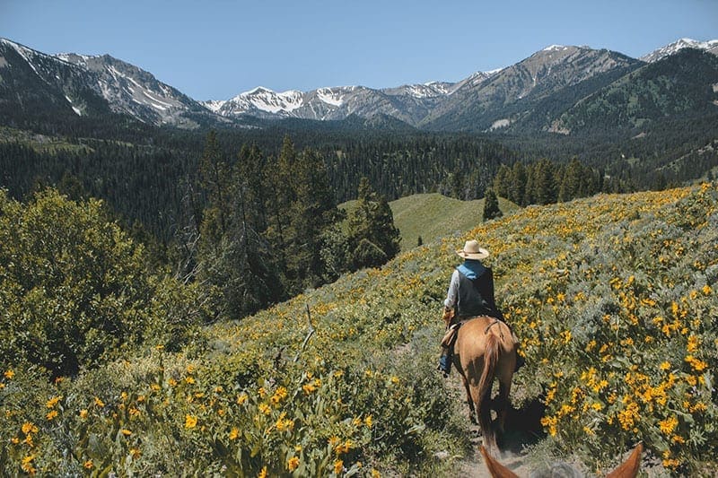 Girl riding a horse on a mountain trail