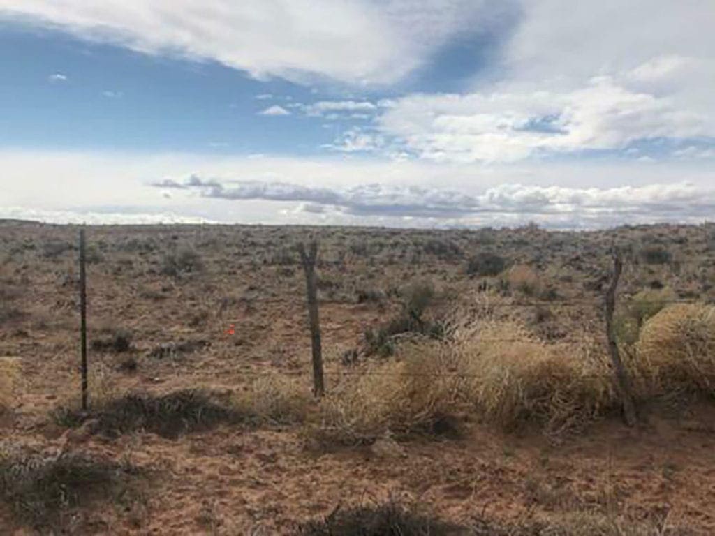 Large view of Gorgeous 40 Acre Property In the Heart Of Navajo County, AZ W/ WELL, POWER, PHONE, PETRIFIED FOREST! Photo 4