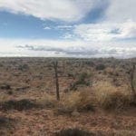 Thumbnail of Gorgeous 40 Acre Property In the Heart Of Navajo County, AZ W/ WELL, POWER, PHONE, PETRIFIED FOREST! Photo 4