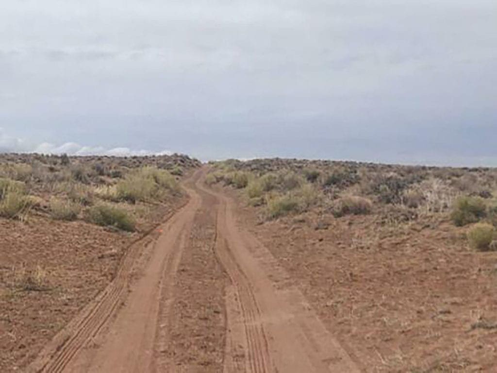 Large view of Gorgeous 40 Acre Property In the Heart Of Navajo County, AZ W/ WELL, POWER, PHONE, PETRIFIED FOREST! Photo 3