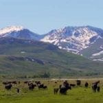 Thumbnail of Beautiful 40 acre Ranch in the Hills near Town ~ GOLD & SILVER COUNTRY Photo 3