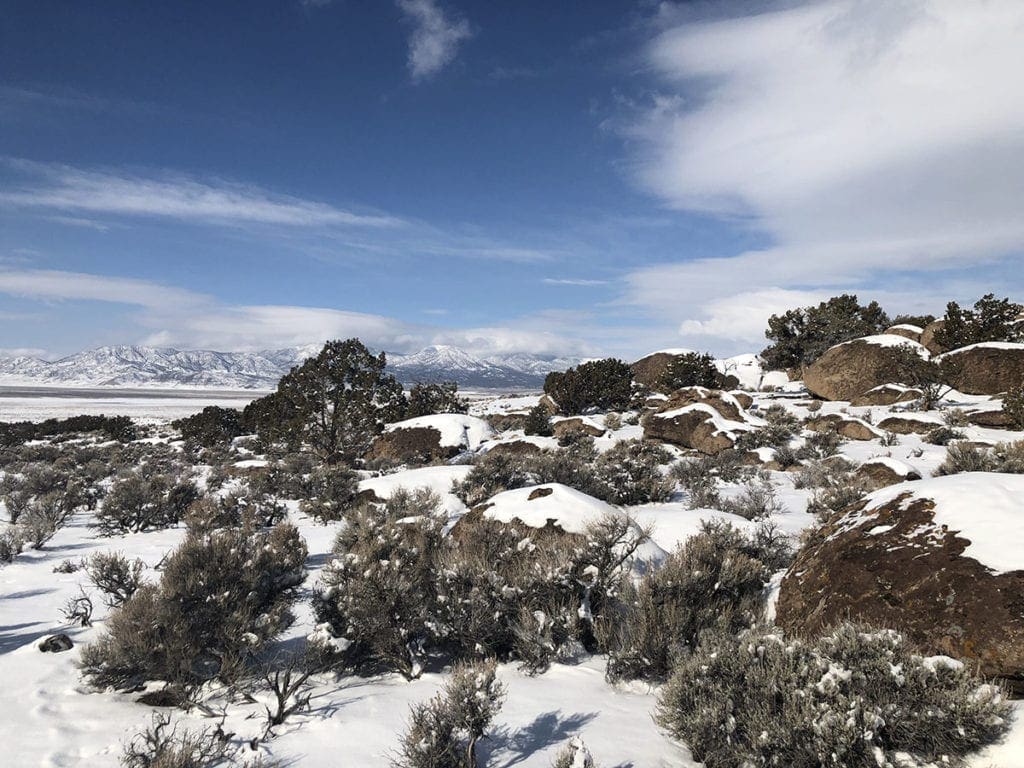 Large view of 19.53 ACRES~Patented Mining Claim SUR #2281“Yellow Rose” Esmeralda County, Nevada. Photo 3