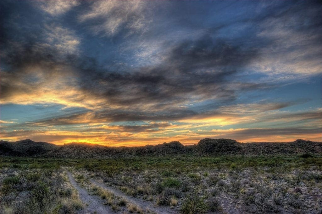 Large view of Texas 5.38 Acre On Rio Grande River Front, With Paved Front Access to HWY 170, Power & Phone Photo 4