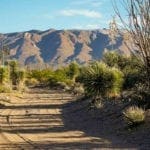 Thumbnail of Texas 5.38 Acre On Rio Grande River Front, With Paved Front Access to HWY 170, Power & Phone Photo 3