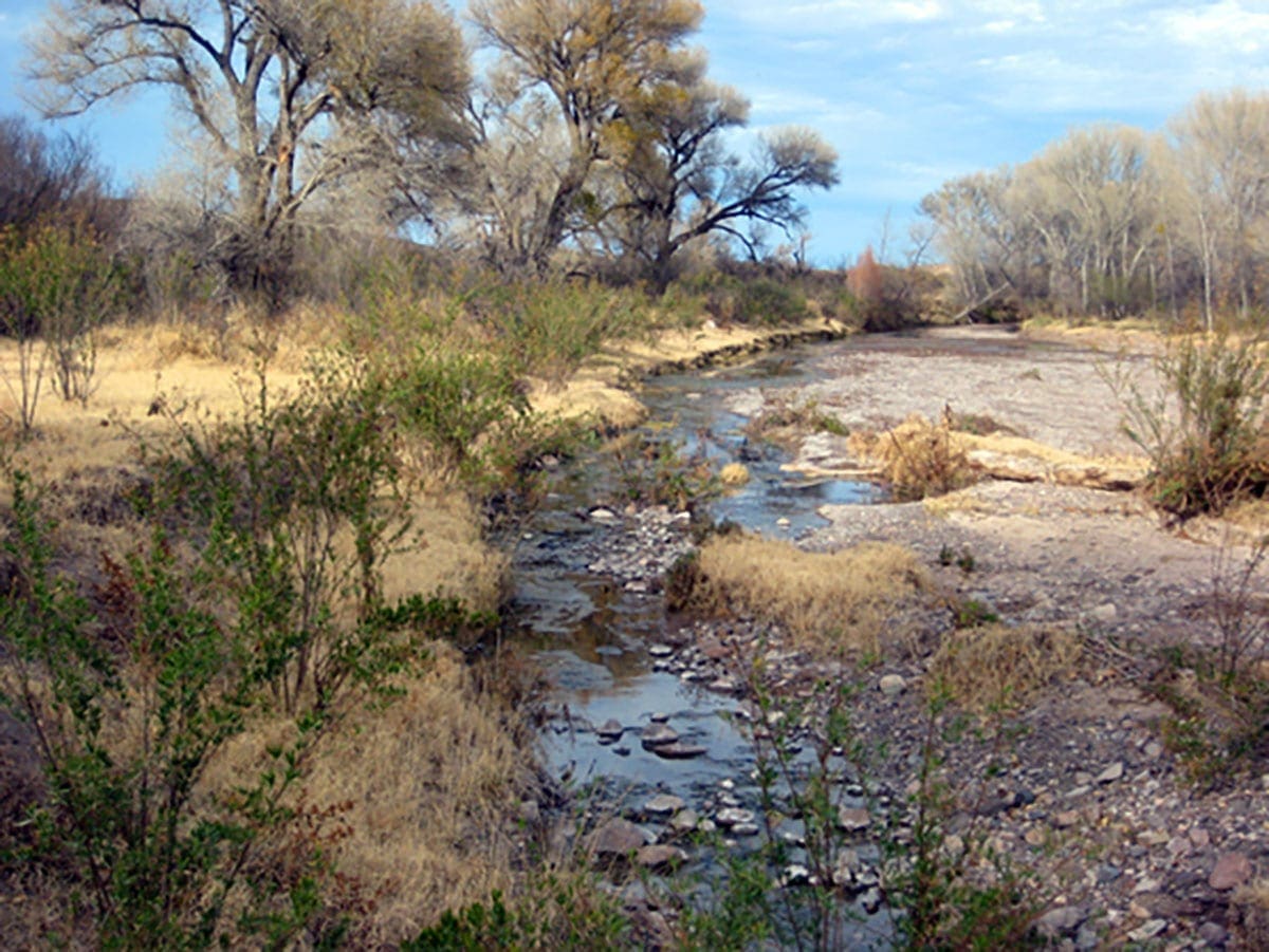 Texas 5.38 Acre On Rio Grande River Front, With Paved Front Access to HWY 170, Power & Phone photo 2