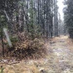 Thumbnail of Blue Ribbon Fishing On This Exclusive 119 Acre Oregon Ranch in Central Oregon Photo 2