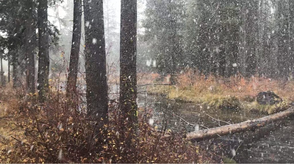 Large view of Blue Ribbon Fishing On This Exclusive 119 Acre Oregon Ranch in Central Oregon Photo 8