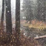 Thumbnail of Blue Ribbon Fishing On This Exclusive 119 Acre Oregon Ranch in Central Oregon Photo 8