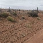 Thumbnail of 20 Acres Of Northern Arizona Land! Water, Septic, Horse Stable, Power, Phone, County Road Frontage!! Photo 11