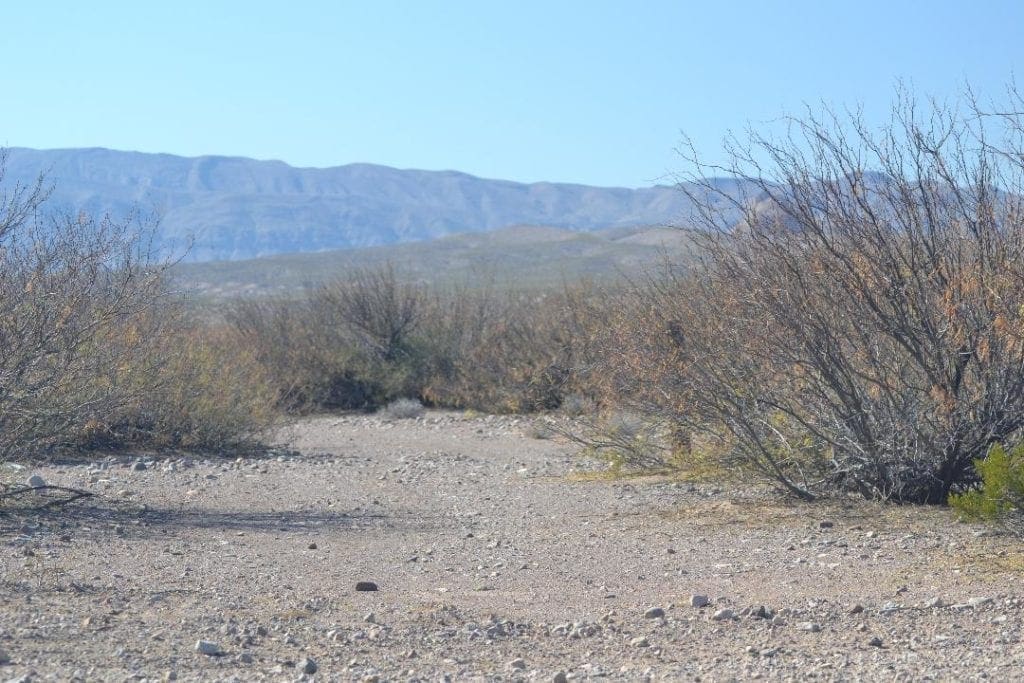 Large view of Beautiful 10.1 Acre Ranch In Hudspeth County Texas! $199.00 Down! Photo 2