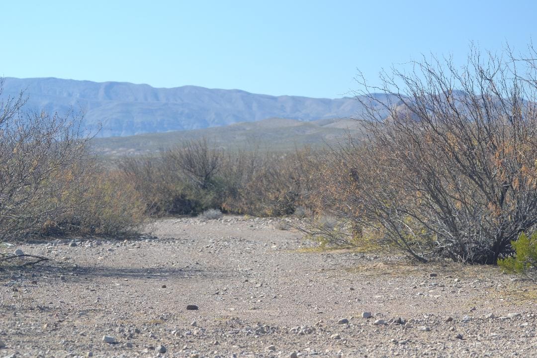 Beautiful 10.1 Acre Ranch In Hudspeth County Texas! $199.00 Down! photo 2
