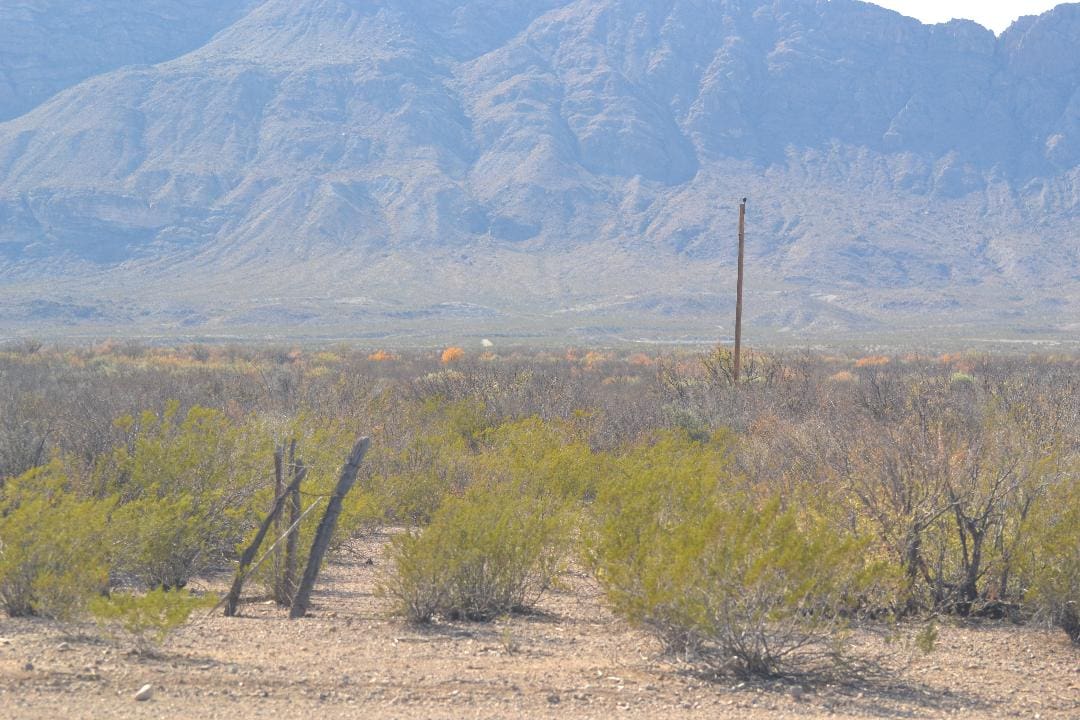 Beautiful 10.1 Acre Ranch In Hudspeth County Texas! $199.00 Down! photo 5