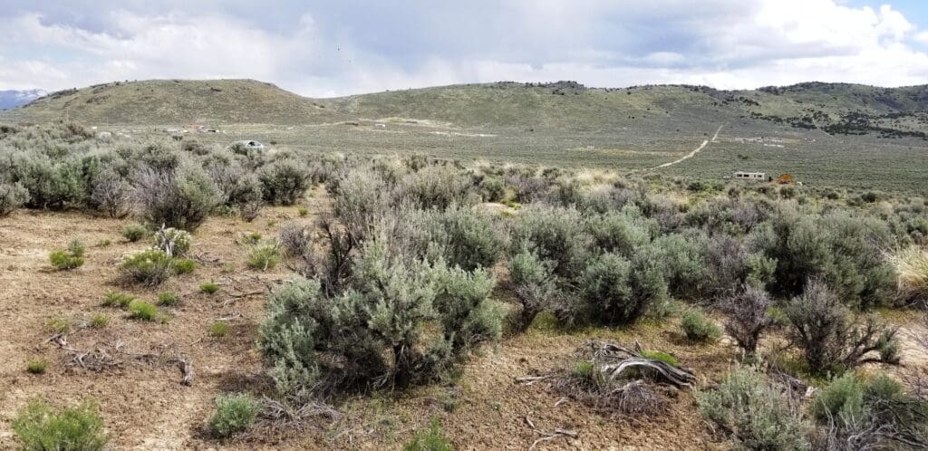 Large view of 2.27 ACRES IN SPRING CREEK/ELKO, NEVADA – TREED WITH ROAD – NEAR ELKO & RUBY MOUNTAINS Photo 8