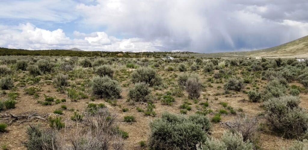 Large view of 2.27 ACRES IN SPRING CREEK/ELKO, NEVADA – TREED WITH ROAD – NEAR ELKO & RUBY MOUNTAINS Photo 5