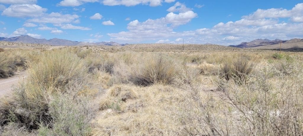 Large view of 2.61 Acres in Beautiful Crystal Springs Adjacent to Key Pittman Wildlife Area/Lake & Fronts NV State Highway SR-318 Photo 4