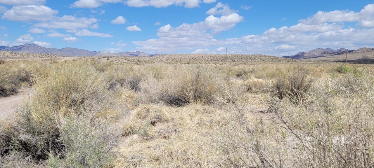 2.61 Acres in Beautiful Crystal Springs Adjacent to Key Pittman Wildlife Area/Lake & Fronts NV State Highway SR-318 photo 4