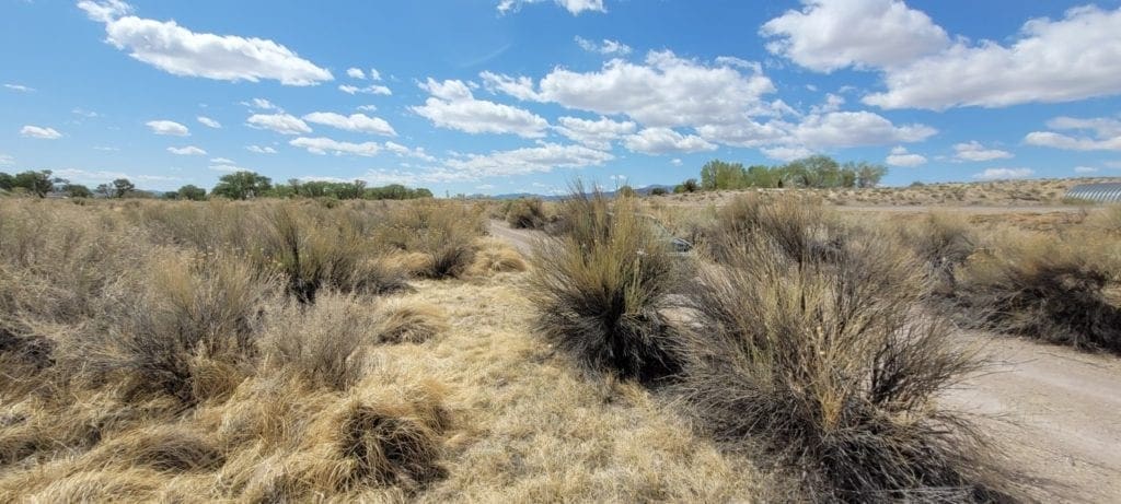 Large view of 2.61 Acres in Beautiful Crystal Springs Adjacent to Key Pittman Wildlife Area/Lake & Fronts NV State Highway SR-318 Photo 2
