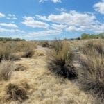Thumbnail of 2.61 Acres in Beautiful Crystal Springs Adjacent to Key Pittman Wildlife Area/Lake & Fronts NV State Highway SR-318 Photo 2