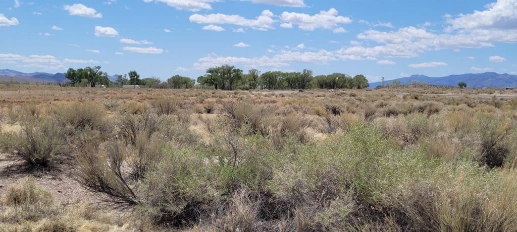 Large view of 2.61 Acres in Beautiful Crystal Springs Adjacent to Key Pittman Wildlife Area/Lake & Fronts NV State Highway SR-318 Photo 14