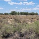 Thumbnail of 2.61 Acres in Beautiful Crystal Springs Adjacent to Key Pittman Wildlife Area/Lake & Fronts NV State Highway SR-318 Photo 14