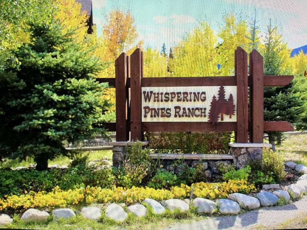 Large view of GORGEOUS TIMBERED R.V/CAMPING VIEW PARCEL IN WHISPERING PINES, JEFFERSON COUNTY, COLORADO Photo 1