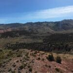 Thumbnail of 20.00 ACRES IN THE GORGEOUS NORTHERN CALIFORNIA MOUNTAINS ~ LASSEN COUNTY! Photo 16