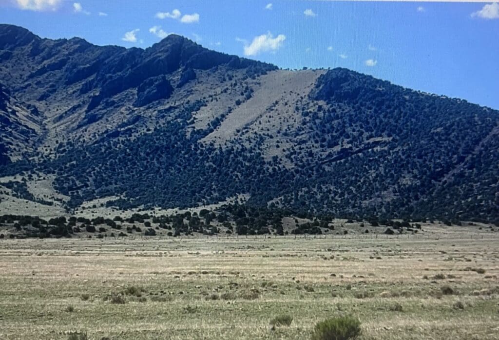 Large view of 1.00 ACRE BUILDING LOT IN BEAUTIFUL MINERAL HOT SPRINGS ESTATES, SAGUACHE COUNTY, COLORADO Photo 13