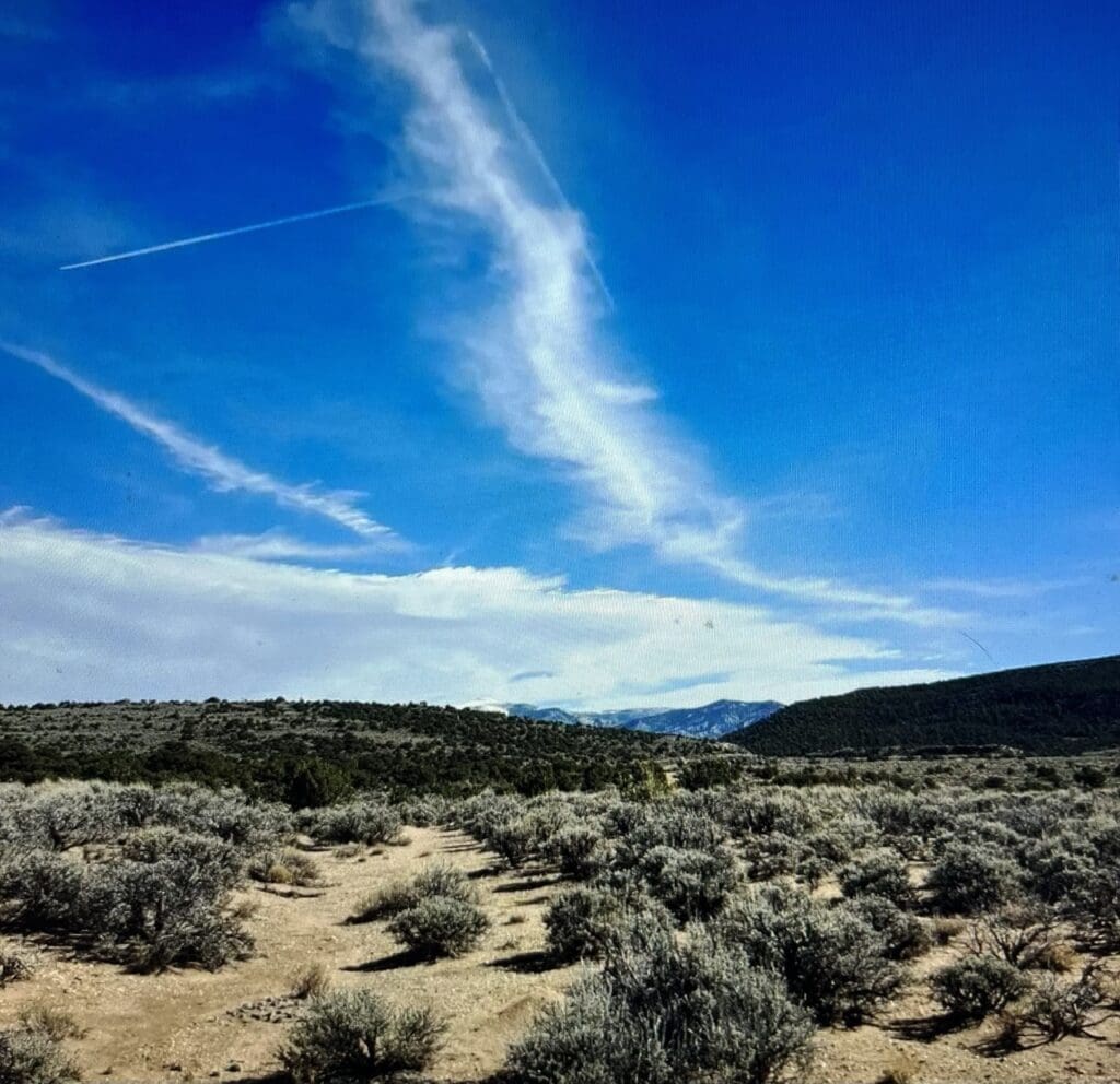 Large view of 6 LOTS ALL ADJOING TOTALLING 1.50 ACRES IN BEAUTIFUL SANGRE DE CRISTO ESTATES, SOUTHERN COLORADO Photo 5