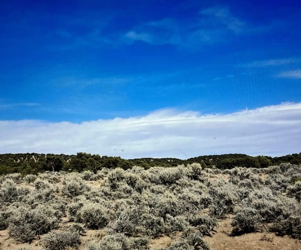 Large view of 6 LOTS ALL ADJOING TOTALLING 1.50 ACRES IN BEAUTIFUL SANGRE DE CRISTO ESTATES, SOUTHERN COLORADO Photo 7