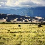 Thumbnail of 21.81 ACRES IN BEAUTIFUL SO. COLORADO 3 ADJOINING PARCELS NEAR NEW MEXICO ~ BIG GAME TERRITORY Photo 10