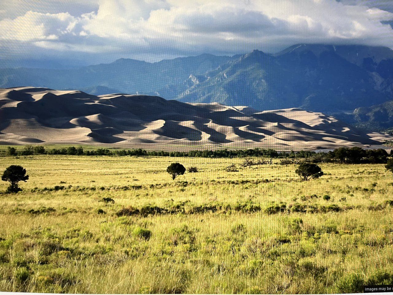 21.81 ACRES IN BEAUTIFUL SO. COLORADO 3 ADJOINING PARCELS NEAR NEW MEXICO ~ BIG GAME TERRITORY photo 10