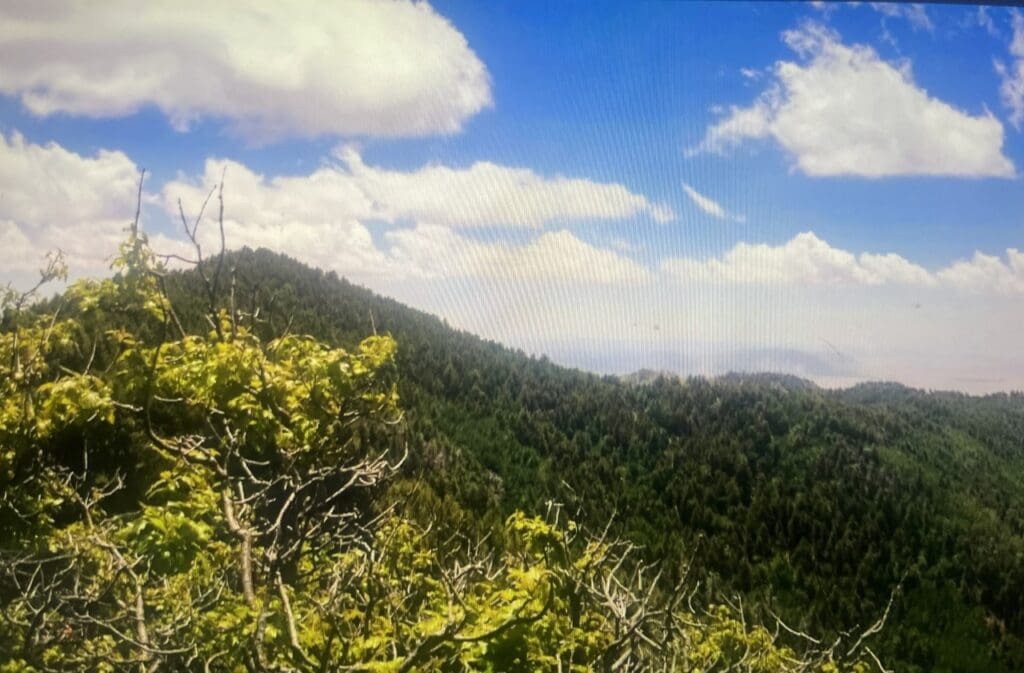 Large view of .25 ACRE LOT IN CANYON DEL RIO WITH SEASONAL STREAM NEAR ALBUQUERQUE, NEW MEXICO Photo 6