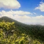 Thumbnail of .25 ACRE LOT IN CANYON DEL RIO WITH SEASONAL STREAM NEAR ALBUQUERQUE, NEW MEXICO Photo 6