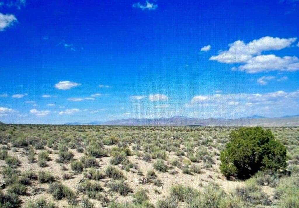Large view of 5.710 ACRE GORGEOUS MINI RANCH NEAR BOOMING ALBUQUERQUE, NEW MEXICO Photo 10