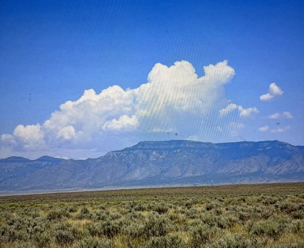 Large view of 5.710 ACRE GORGEOUS MINI RANCH NEAR BOOMING ALBUQUERQUE, NEW MEXICO Photo 11