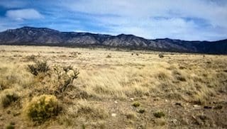 .25 ACRE PARCEL IN NEW MEXICO NEAR RIO GRANDE RIVER AND BELEN~ADJOING PARCEL AVAIILABLE photo 2