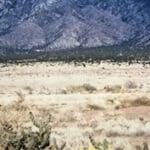 Thumbnail of .25 ACRE PARCEL IN NEW MEXICO NEAR RIO GRANDE RIVER AND BELEN~ADJOING PARCEL AVAIILABLE Photo 8