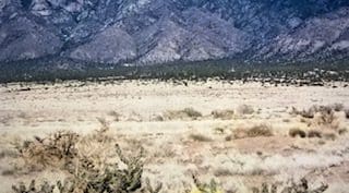.25 ACRE PARCEL IN NEW MEXICO NEAR RIO GRANDE RIVER AND BELEN~ADJOING PARCEL AVAIILABLE photo 8