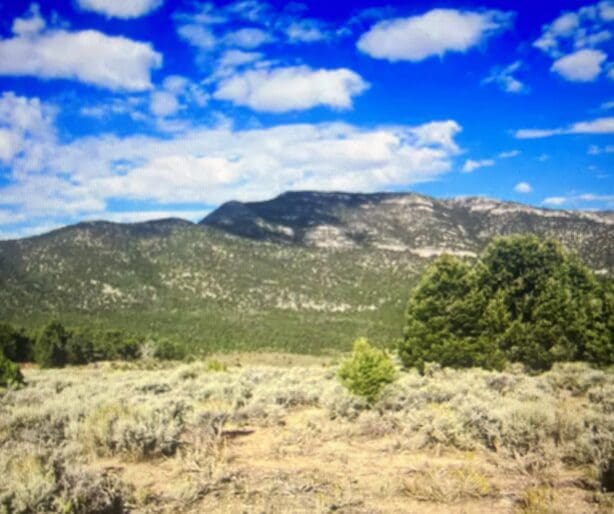 .25 ACRE PARCEL IN NEW MEXICO NEAR RIO GRANDE RIVER AND BELEN~ADJOING PARCEL AVAIILABLE