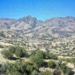 Thumbnail of .25 ACRE PARCEL IN NEW MEXICO NEAR RIO GRANDE RIVER AND BELEN~ADJOING PARCEL AVAIILABLE Photo 9
