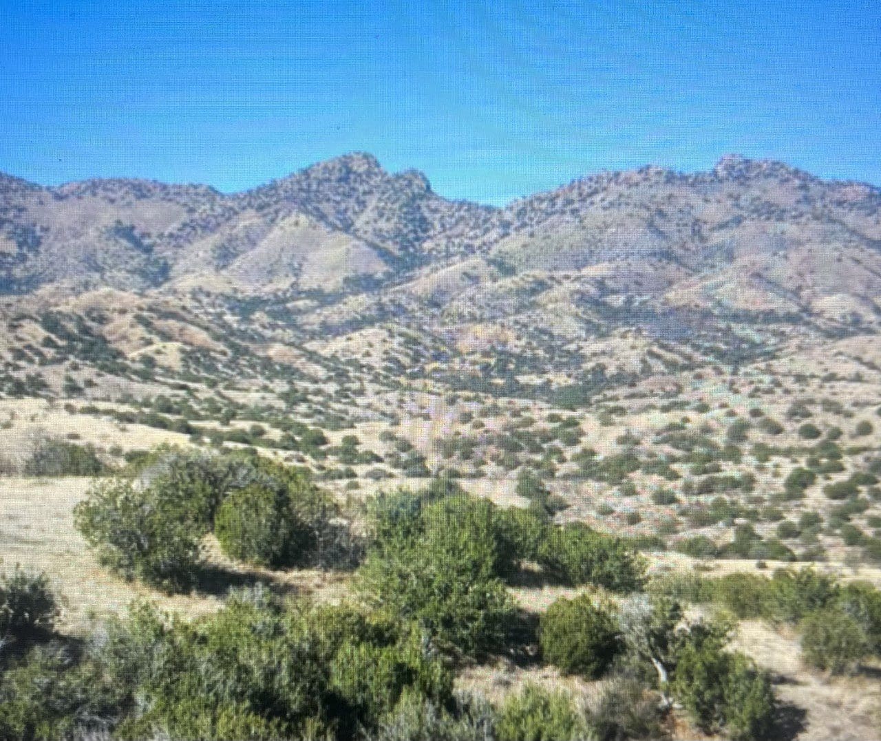 .25 ACRE PARCEL IN NEW MEXICO NEAR RIO GRANDE RIVER AND BELEN~ADJOING PARCEL AVAIILABLE photo 9
