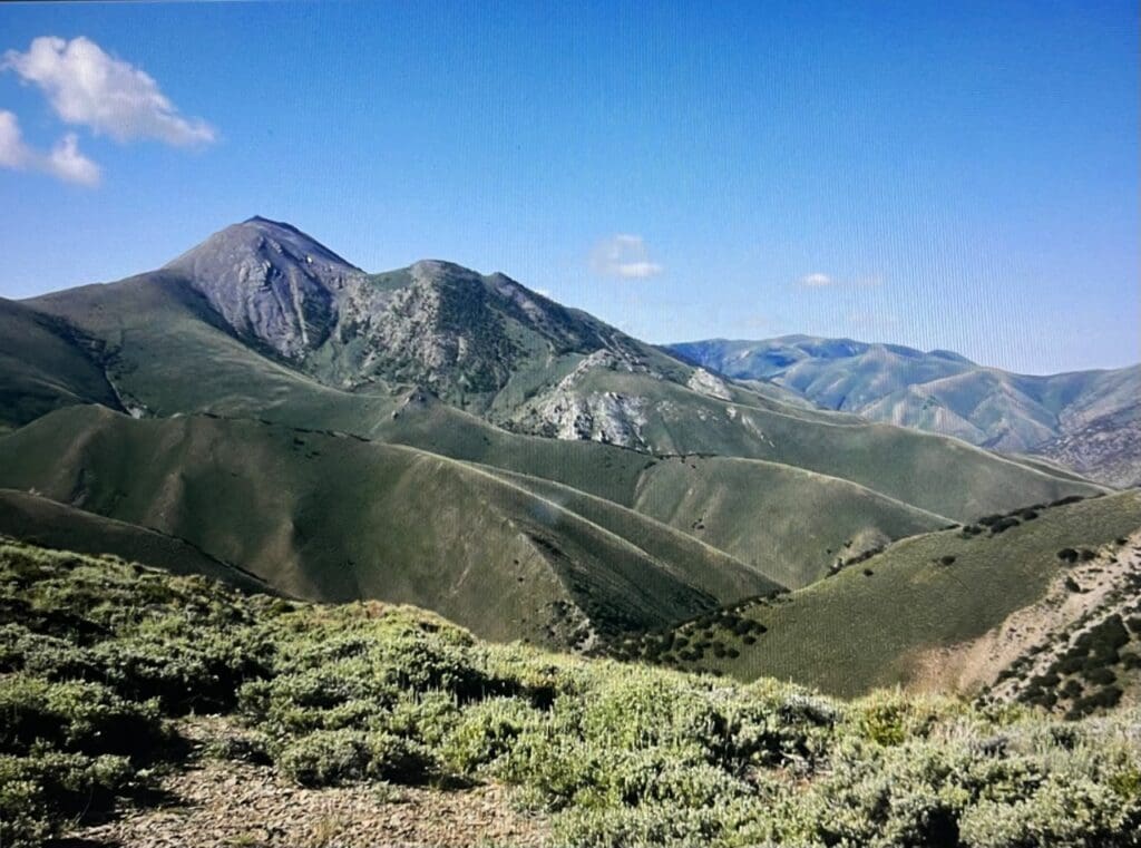 Large view of 41.39 ACRES IN LANDER CO, NEVADA WITH ROAD, CREEK, SPRING AND INCREDIBLE MOUNTAIN TOP VIEWS FOR MILES~NEW PICS MUST SEE AMAZING! Photo 14