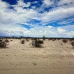 Thumbnail of 1.00 ACRE IN EL CAMINO DEL SOL 2 ~ GROWING YUMA COUNTY, ARIZONA Photo 1