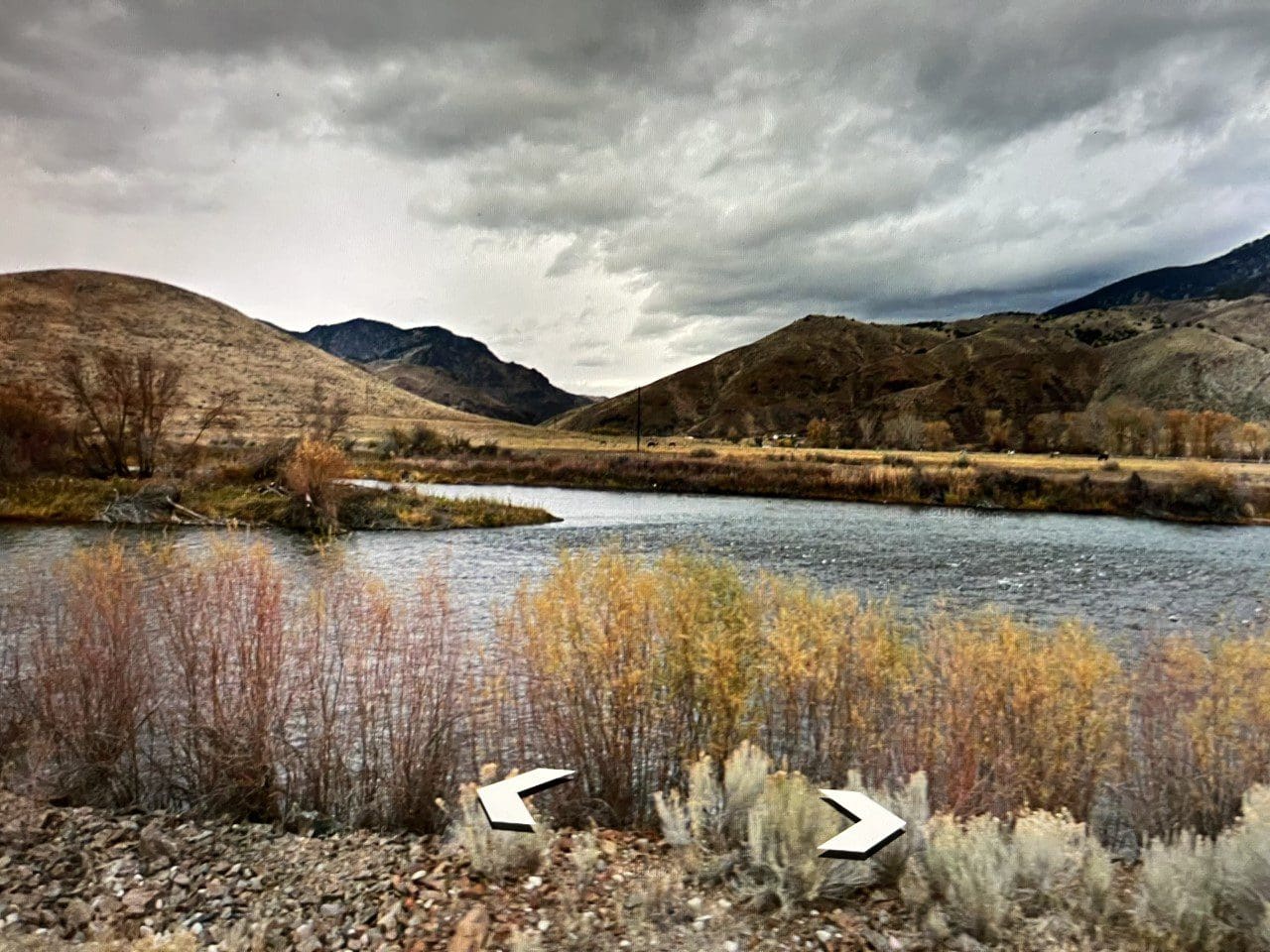 BEAUTIFUL LOT JUST FEET FROM THE FAMOUS SALMON RIVER, IDAHO~ALL UTILITIES READY TO BUILD! photo 1