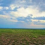 Thumbnail of 1.00 ACRE LOT IN VALENCIA COUNTY NEAR LOS LUNAS NEW MEXICO AND THE MIGHTY RIO GRANDE RIVER MILLION DOLLAR VIEWS Photo 1