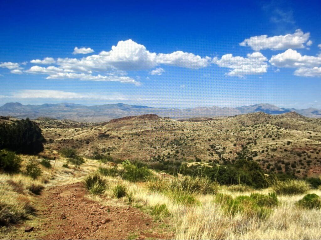 Large view of 6.56 ACRES IN BEAUTIFUL TIERRA GRANDE~BELEN, NEW MEXICO ~ SPECTACULAR MOUNTAIN VIEWS! Photo 3