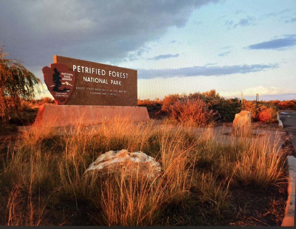 Large view of 40.00 Acres Adjoining the Petrified Forest National Park ~ Fronts Famous & Historic Route 66 in Sunny Southern Arizona Photo 19