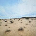 Thumbnail of 10.00 ACRES IN YUMA COUNTY, ARIZONA NEAR KOFA NAT. PARK AND DATELAND ~ GROWING AREA! Photo 3