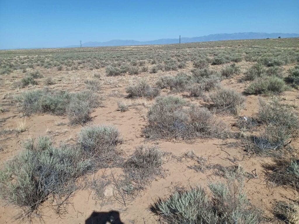 Large view of 5.00 GORGEOUS ACRES IN GROWING LOS LUNAS NEW MEXICO NEAR AIRPORT ON MARBLE QUARRY ROAD & HARRISON RD Photo 1