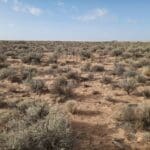 Thumbnail of 1.00 ACRE LOT IN VALENCIA COUNTY NEAR LOS LUNAS NEW MEXICO AND THE MIGHTY RIO GRANDE RIVER MILLION DOLLAR VIEWS Photo 3